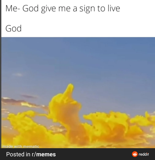 288049b6ba24bf3313031d54d978d8dd.png