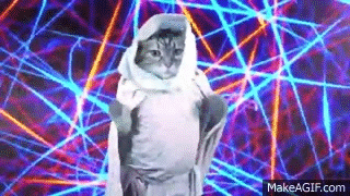 c91dd45a25e3f60c2dee1d3bad0ec450.gif