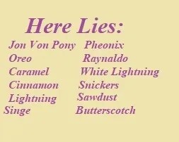 e31b21b7767679494f6597b959af6de3.jpeg