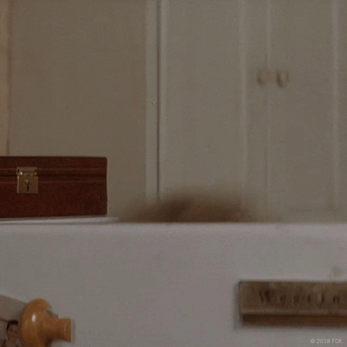 e79ca820a4fdf47f2e0895de0865a0cd.gif